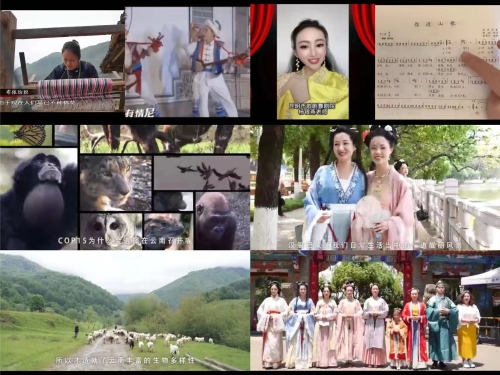 图片3