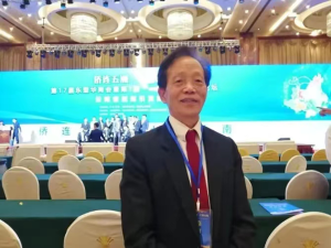 图片11