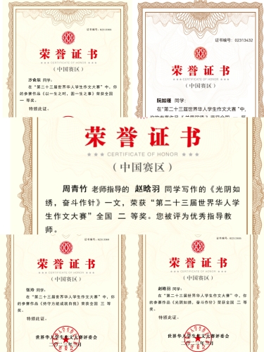 图片2 图片2