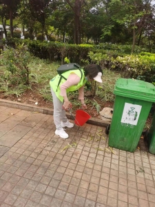 市侨联党员双报道进社区开展卫生清理